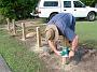 Taree-fence-b 021